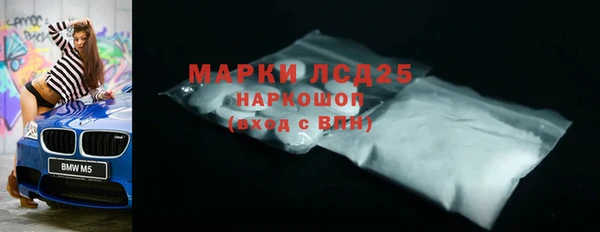 мяу мяу мука Баксан