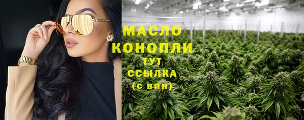 прущие грибы Балахна