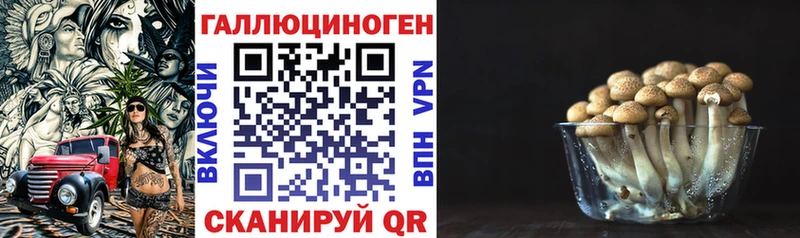 Галлюциногенные грибы ЛСД  купить   Балахна 